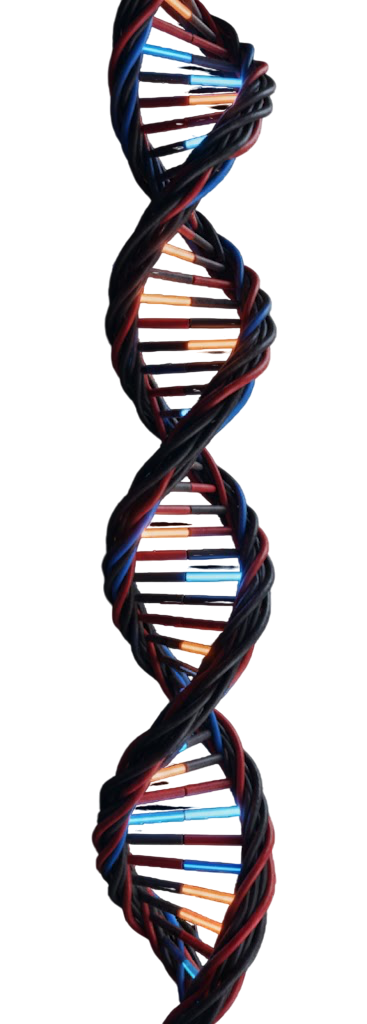 DNA Helix Sol